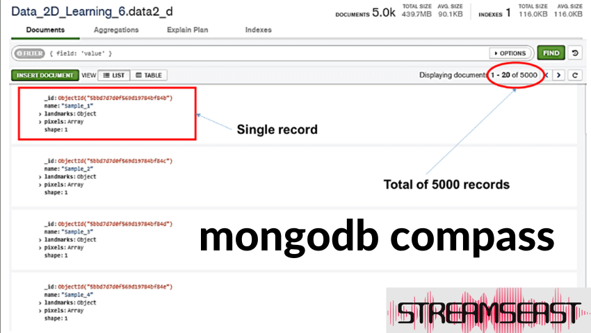 mongodb compass