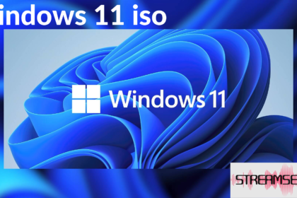 windows 11 iso