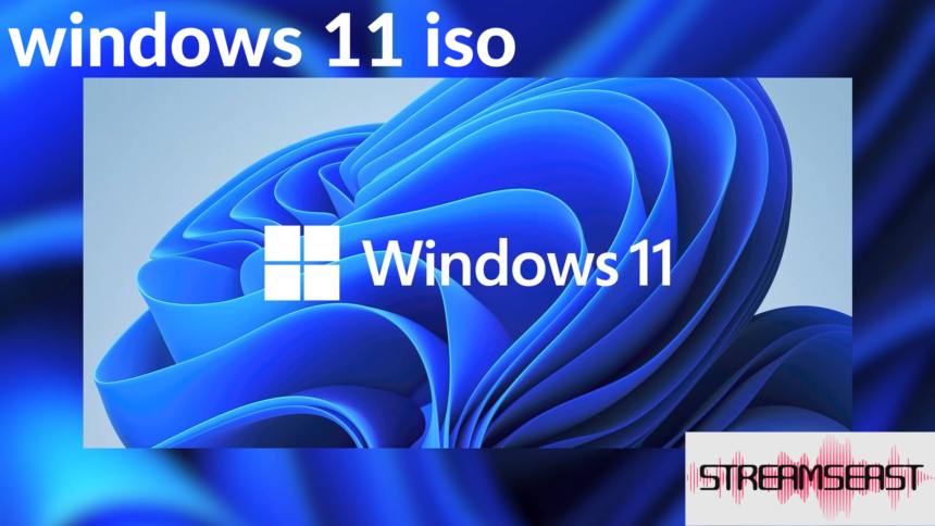 windows 11 iso